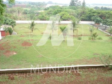11 - Jardim
